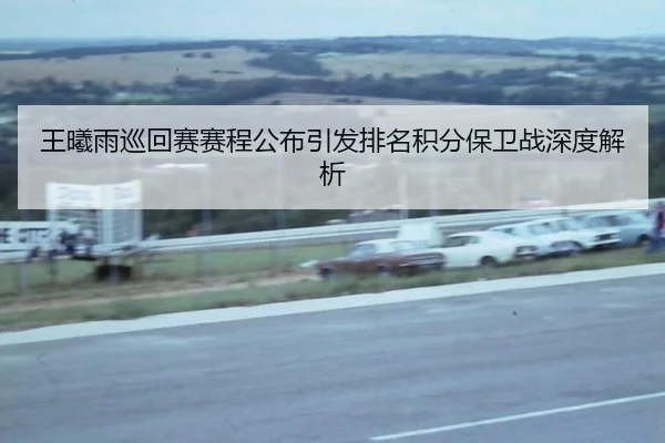 wang-xi-yu-xun-hui-sai-sai-cheng-gong-bu-yin-fa-pai-ming-ji-fen-bao-wei-zhan-shen-du-jie-xi-2-611.jpg